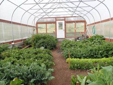 Clear polycarbonate panel, 8mm polycarbonate panel, 16mm polycarbonate