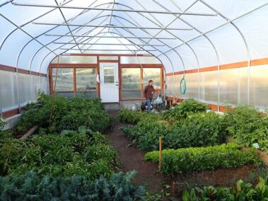 Polycarbonate greenhouse, greenhouses, greenhouse kits, Colorado greenhouses, custom greenhouses